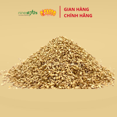 Đầu cuống hạt điều sống O