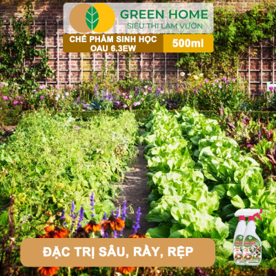 Chế Phẩm Sinh Học OAU 6.3EW GreenHome, Chai 500Ml, Thảo Mộc, Đặc Trị Rệp, Rầy, Bọ Trĩ Cho Cây Và Hoa