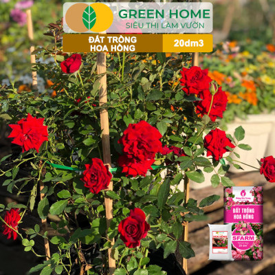 Đất Trồng Hoa Hồng Greenhome, Sfarm, Bao 20dm3 (8kg), Hữu Cơ, Trộn Sẵn, Tiện Lợi, Đầy Đủ Dinh Dưỡng