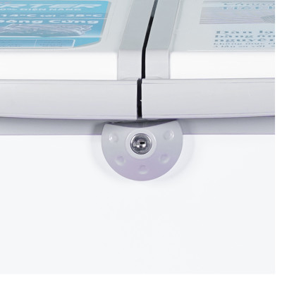 Tủ đông Sanaky 210 lít VH-2599A3 