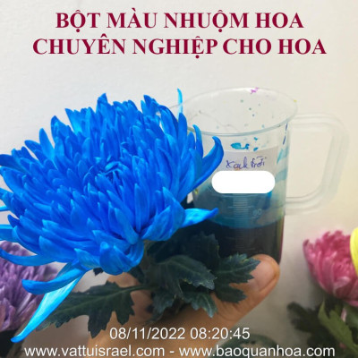 Thuốc Bột Nhuộm Hoa Tươi  màu thực phẩm Ấn Độ (Combo 3 hộp tùy màu) giúp đổi màu hoa cắt cành (1 hủ pha 12L nước màu)