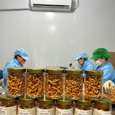 Combo 3 Lọ khô 30gram Đông trùng hạ thảo sấy [Mua 2 được 3] lọ thủy tinh