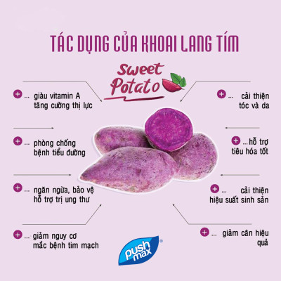 Thùng 24 Lon Sữa Chua Uống Từ Thực Vật Wakai Active (250ml x 24 lon)