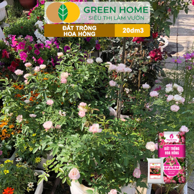 Đất Trồng Hoa Hồng Greenhome, Sfarm, Bao 20dm3 (8kg), Hữu Cơ, Trộn Sẵn, Tiện Lợi, Đầy Đủ Dinh Dưỡng