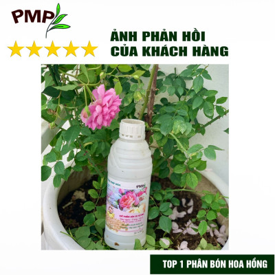 Combo 2 Chai Phân SOYMIC PMP Siêu Phân Bón Ủ Vi Sinh Từ Đậu Nành, Trứng, Chuối, Vi Lượng Cho Hoa Hồng, Rau Sạch