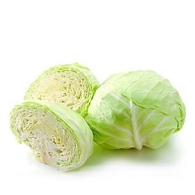 BẮP CẢI DALAT 500G UP