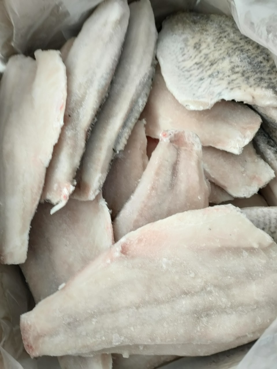 CÁ CHẼM FILLET