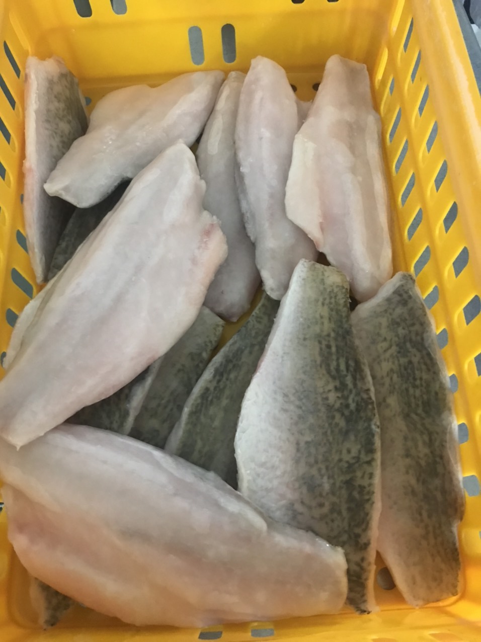 CÁ CHẼM FILLET