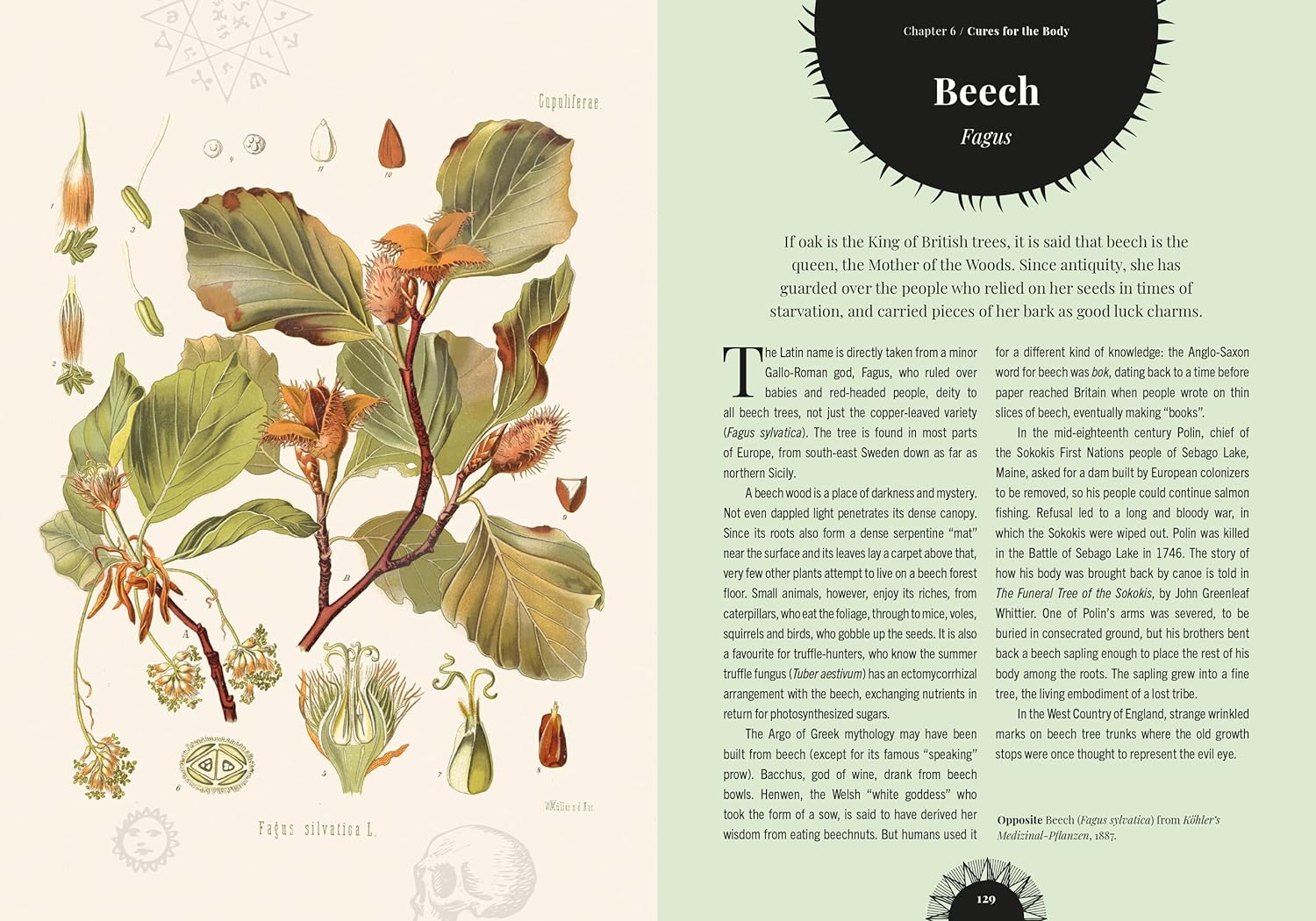 Kew - Witch