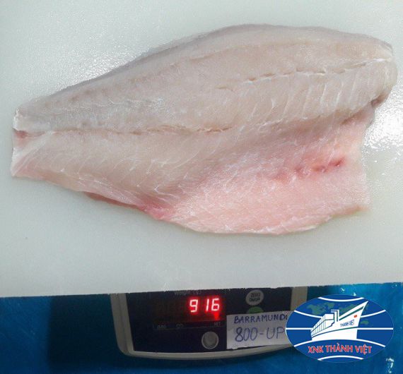 CÁ CHẼM FILLET