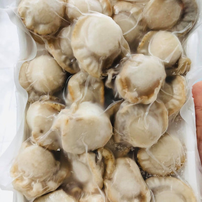 Còi sò điệp hấp ( size 40-60 còi)-1kg