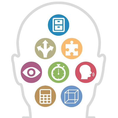 The Brain Fitness Book: Activities And Puzzles To Keep Your Mind Active And Healthy