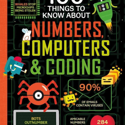 Usborne 100 Things To Know About Numbers , Computers and Coding