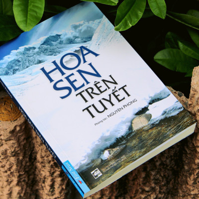 Hoa Sen Trên Tuyết