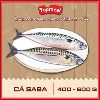 HCM - Cá saba (400 - 600g) - Thích hợp với các món kho, hấp cuốn bánh tráng, nướng chanh, sốt tương, chiên - [Giao nhanh TPHCM]