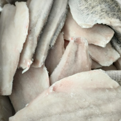 CÁ CHẼM FILLET 
