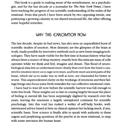 Emotional Intelligence: Why It Can Matter More Than IQ