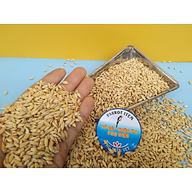 hạt đại mạch dùng làm thức ăn đầy đủ dinh dưỡng cho chim , vẹt