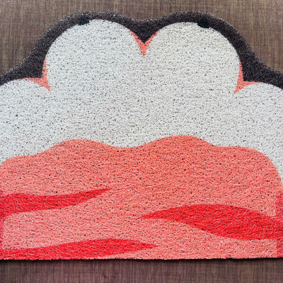 THẢM CÀO MÓNG MÈO BÀN CÀO MÓNG MÈO TẤM CÀO MÓNG MÈO CHO THÚ CƯNG MÈO