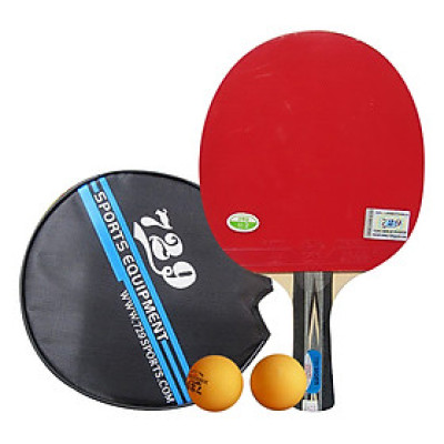 Vợt Bóng Bàn Đại Nam Sport 729-2040