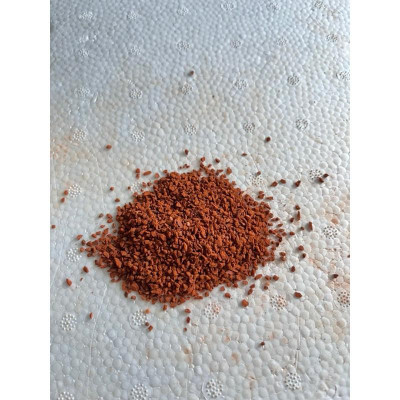 sạn gốm ceramic Siêu Đỏ - sạn gốm cá lóc tép trãi nền ceramic thuỷ sinh nền bể cá