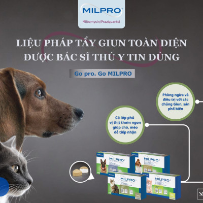 Virbac Milpro xổ giun sán chó mèo (sản xuất tại Pháp)