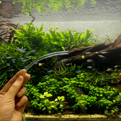 8M Dây Sủi Oxy | Dây Dẫn Khí CO2 Trong Suốt, Cho Hồ Cá Cảnh, Hồ Thủy Sinh Cao Cấp