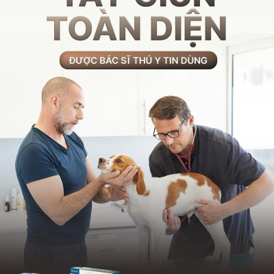 Virbac Milpro xổ giun sán chó mèo (sản xuất tại Pháp)