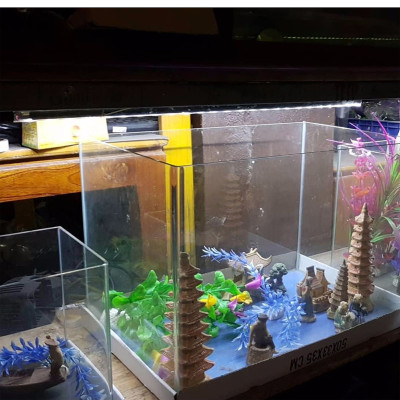 Đèn led bể cá 50 - 60cm YILONG T4-50LED ánh sáng trắng cao cấp