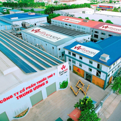 Five-Canci.B bệnh thiếu canxi, bại liệt, còi cọc, co giật, sốt sữa