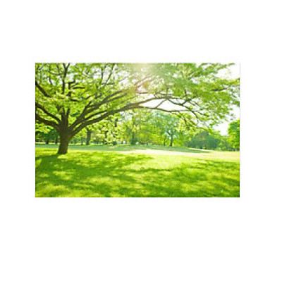 Tranh dán tường cửa sổ 3D | Tranh trang trí 3D | Tranh đẹp | T3DMN 135