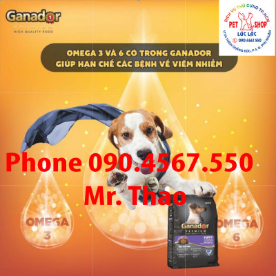 20KG Thức ăn cho chó Keos Plus Giàu Năng Lượng Thịt Gà & Cừu - Keos+ High Protein Chicken & Lamp