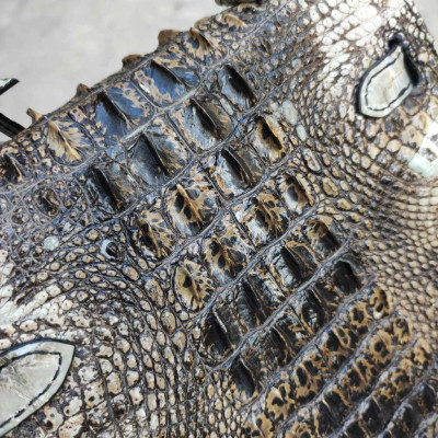 Túi xách nữ Da cá sấu nguyên thủy mộc mạc!