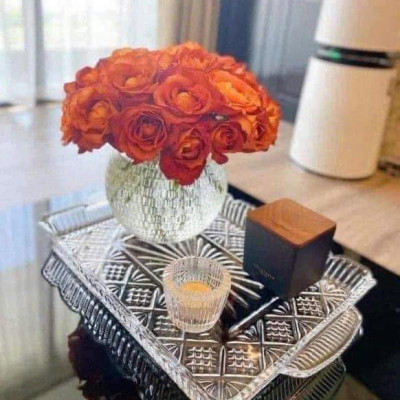 Đĩa pha lê Đức (KT 40 x 26cm) Hàng chính hãng Irris