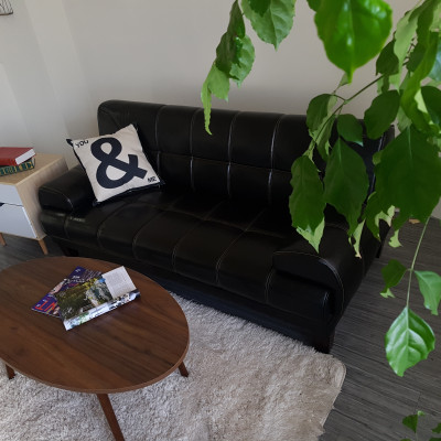 Ghế sofa BNS đa năng BNS-1809 190*110*40cm