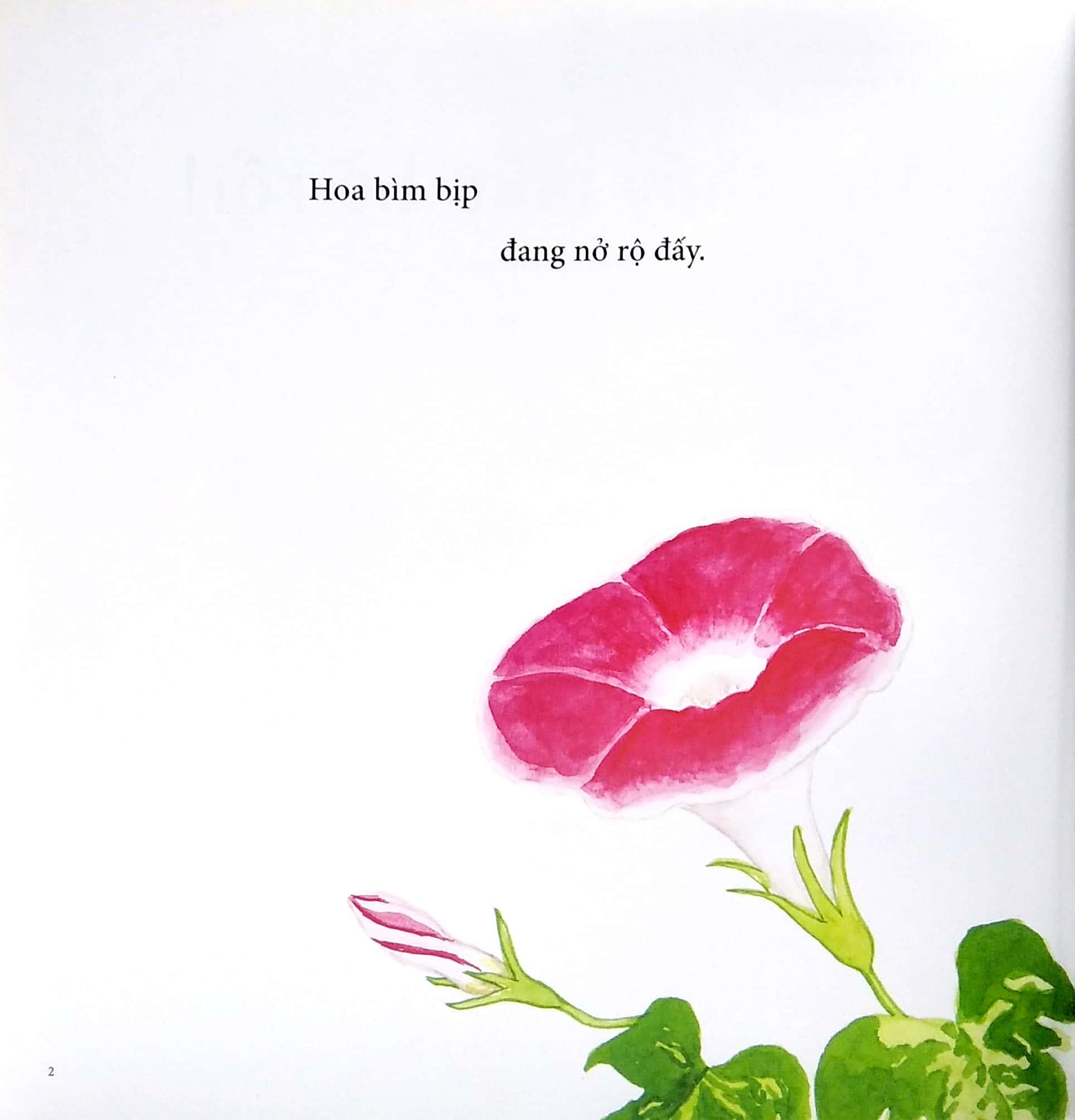 Ehon - Mọt Sách Mogu - Tìm Thấy Mùa Hè Rồi!