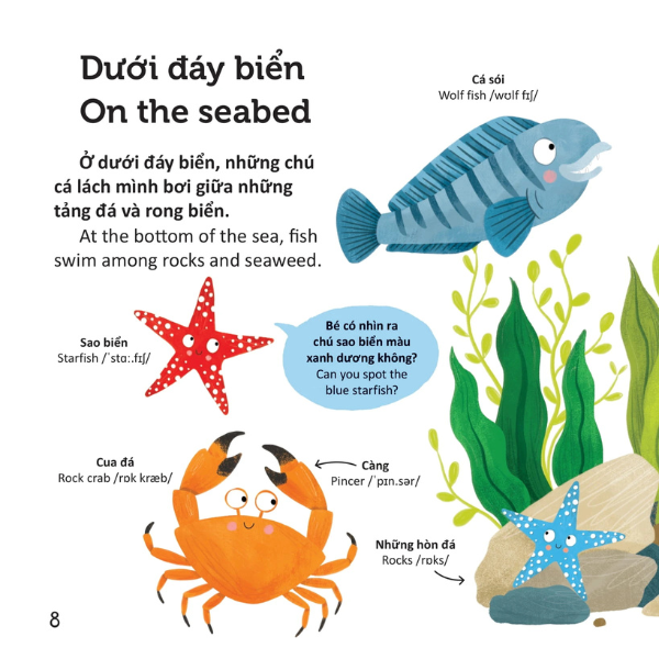 Thư Viện Từ Vựng Đầu Đời Cho Bé - Động Vật Dưới Biển - Under The Sea!