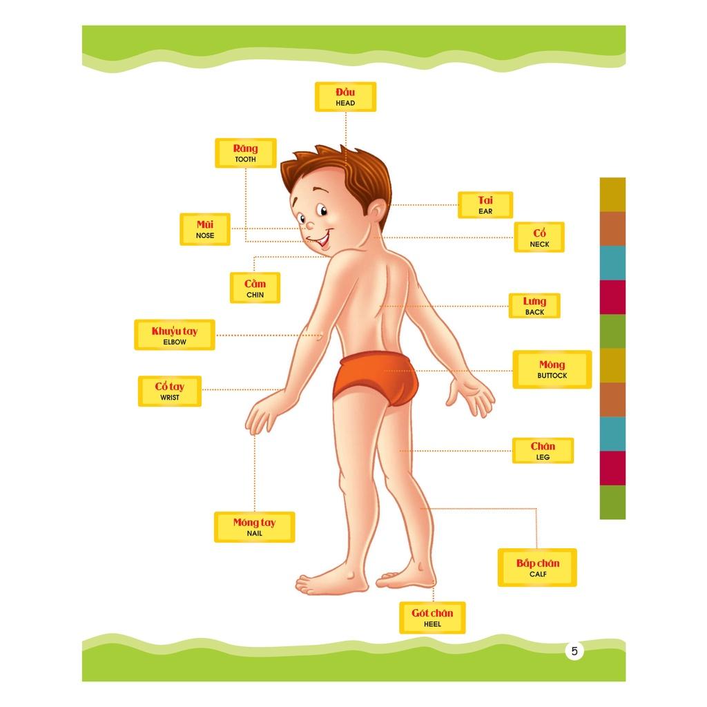 Từ Điển Bằng Hình Của Tôi: Em Thích Miêu Tả - Dành Cho Trẻ Từ 4-6 Tuổi (Bìa Mềm) - Bản Quyền