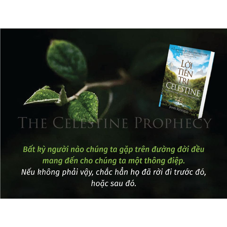 Sách - Lời Tiên Tri Celestine (FN)