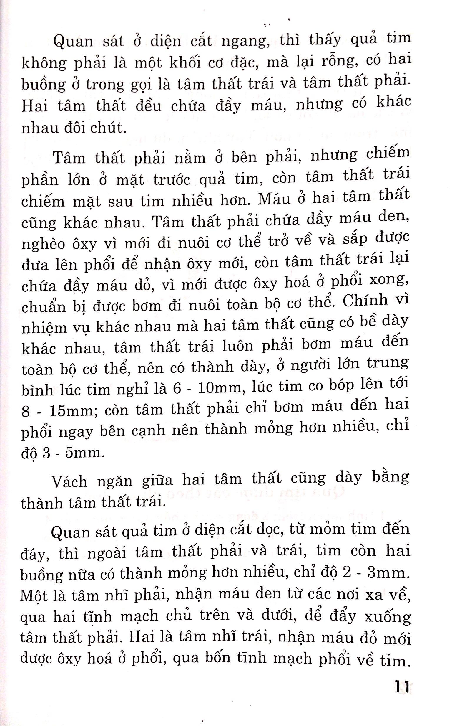 Bệnh Tim - Chế Độ Dinh Dưỡng Và Tập Luyện