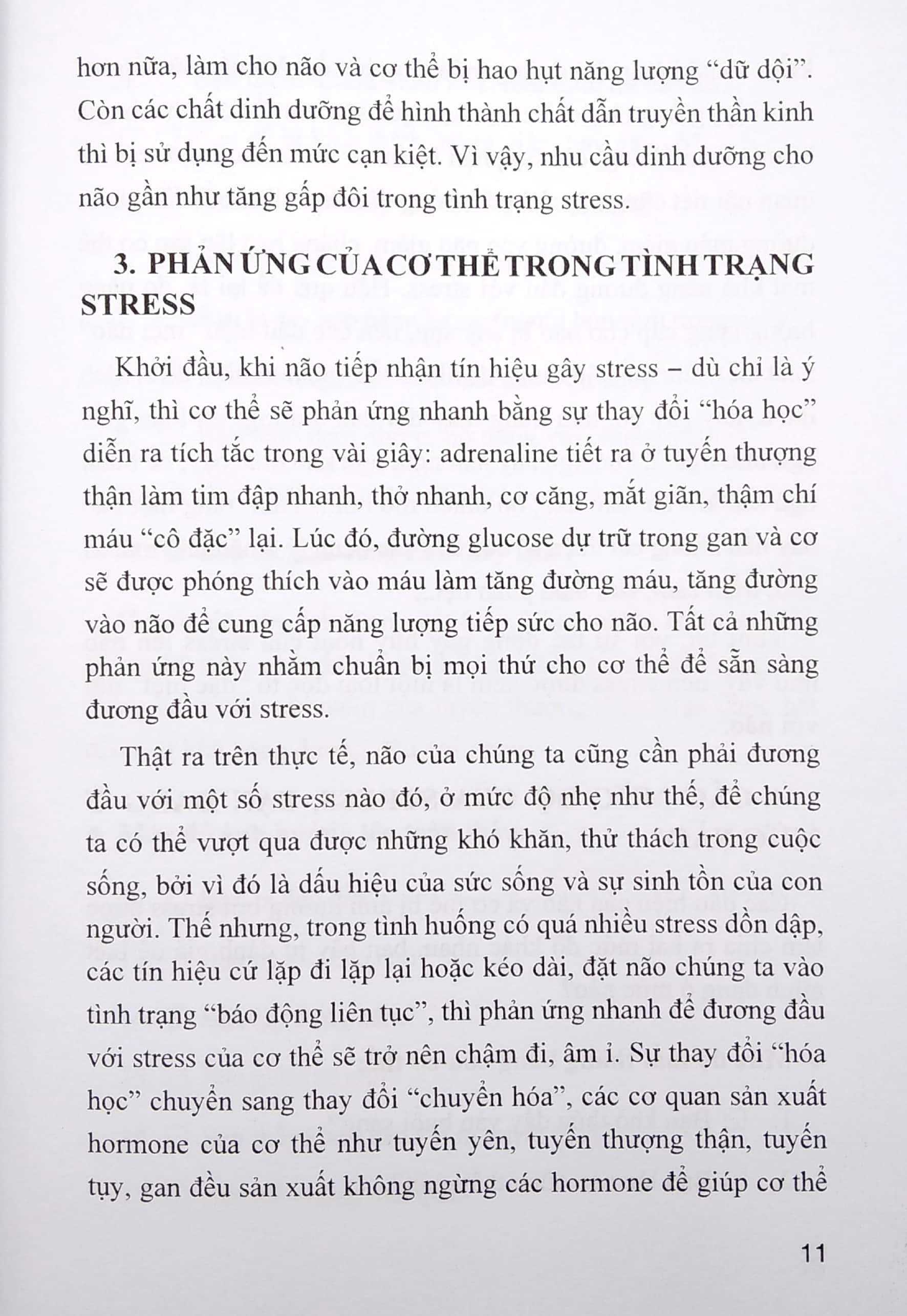 Chế Độ Ăn Bổ Trí Não Giảm Stress