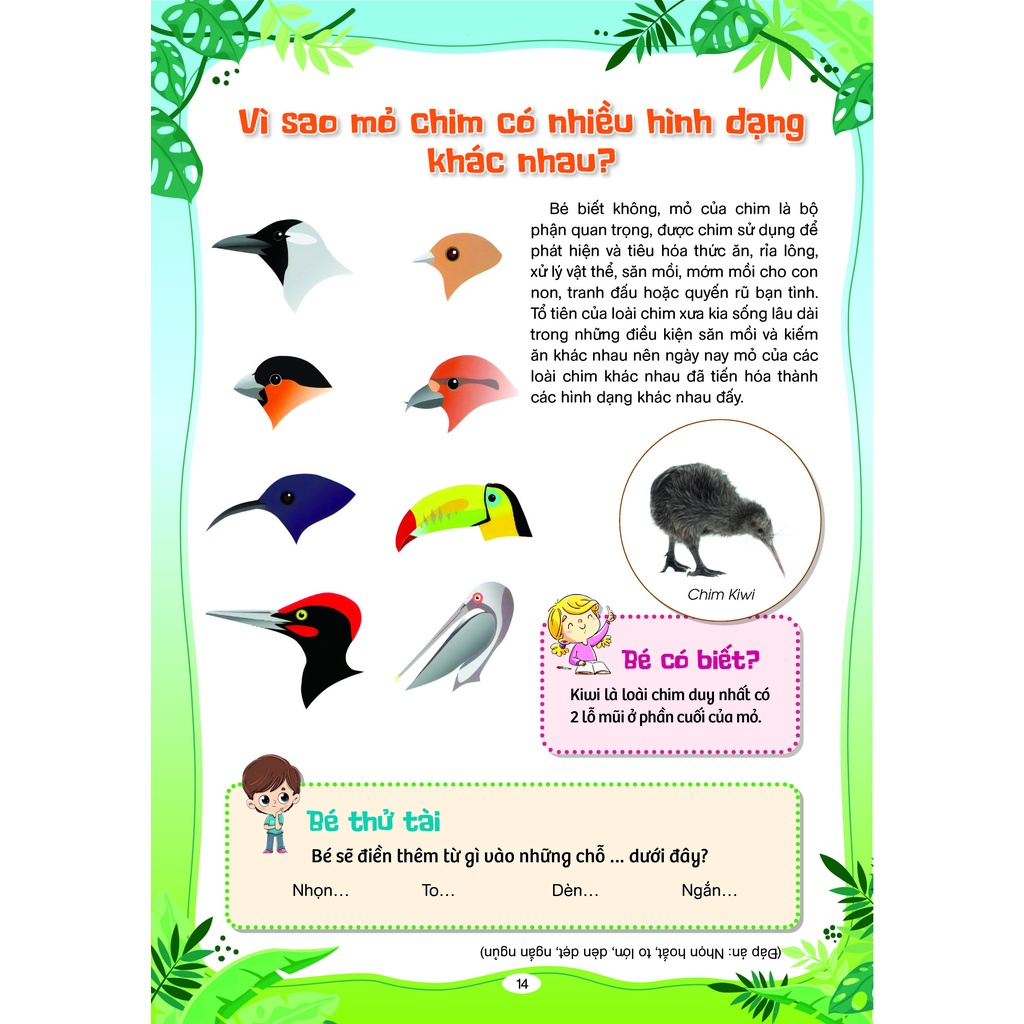 Sách Phát Triển Tư Duy Và Ngôn Ngữ Cho Trẻ - 10 Vạn Câu Hỏi Vì Sao - Cùng Trẻ Khám Phá Thế giới Xung Quanh(BC)