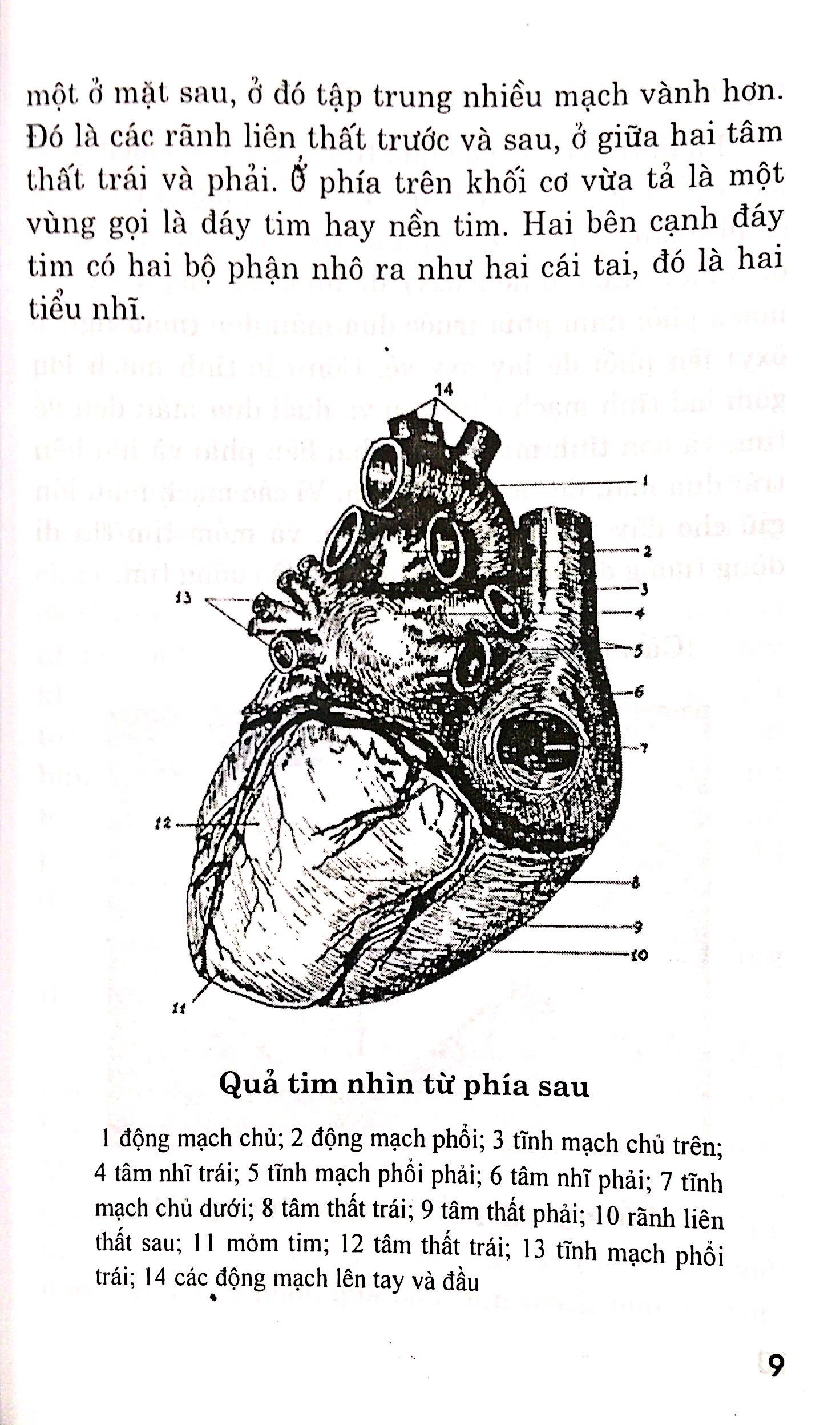 Bệnh Tim - Chế Độ Dinh Dưỡng Và Tập Luyện