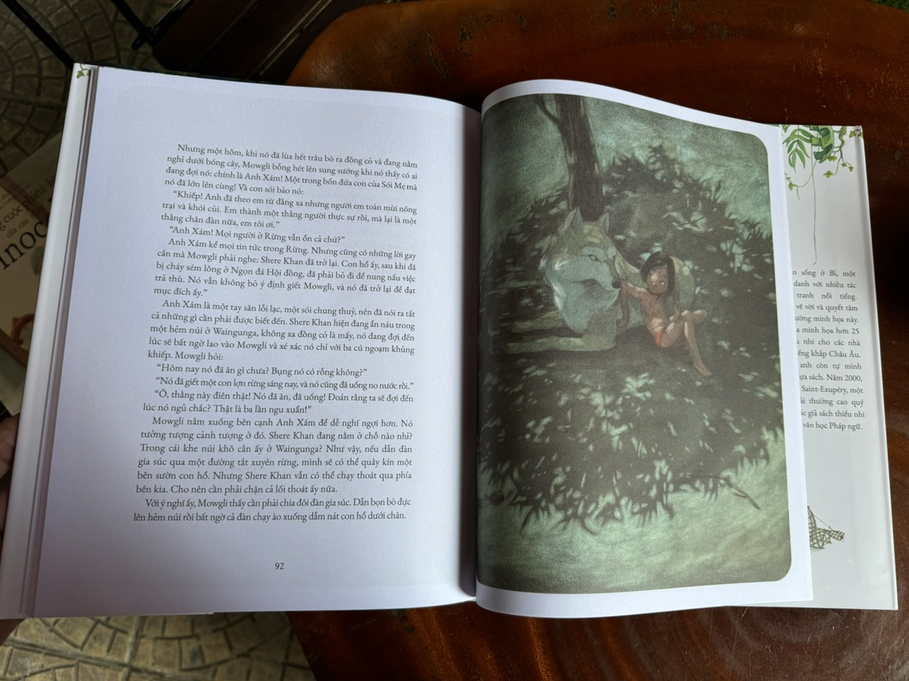 (Bìa Cứng, In Màu) CHUYỆN RỪNG XANH - Rudyard Kipling - Crabit Kidbooks
