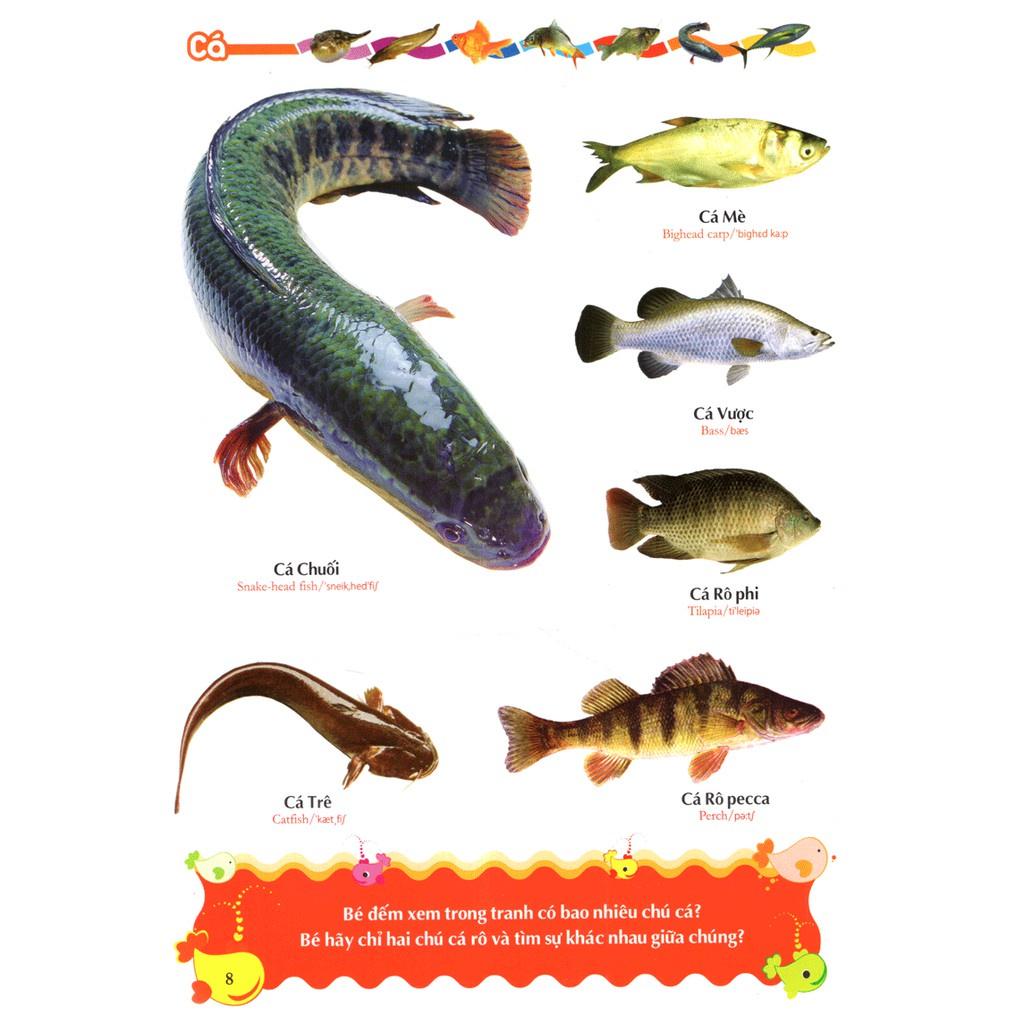 Từ Điển Tranh Về Các Con Vật (Bìa Mềm) - Bản Quyền