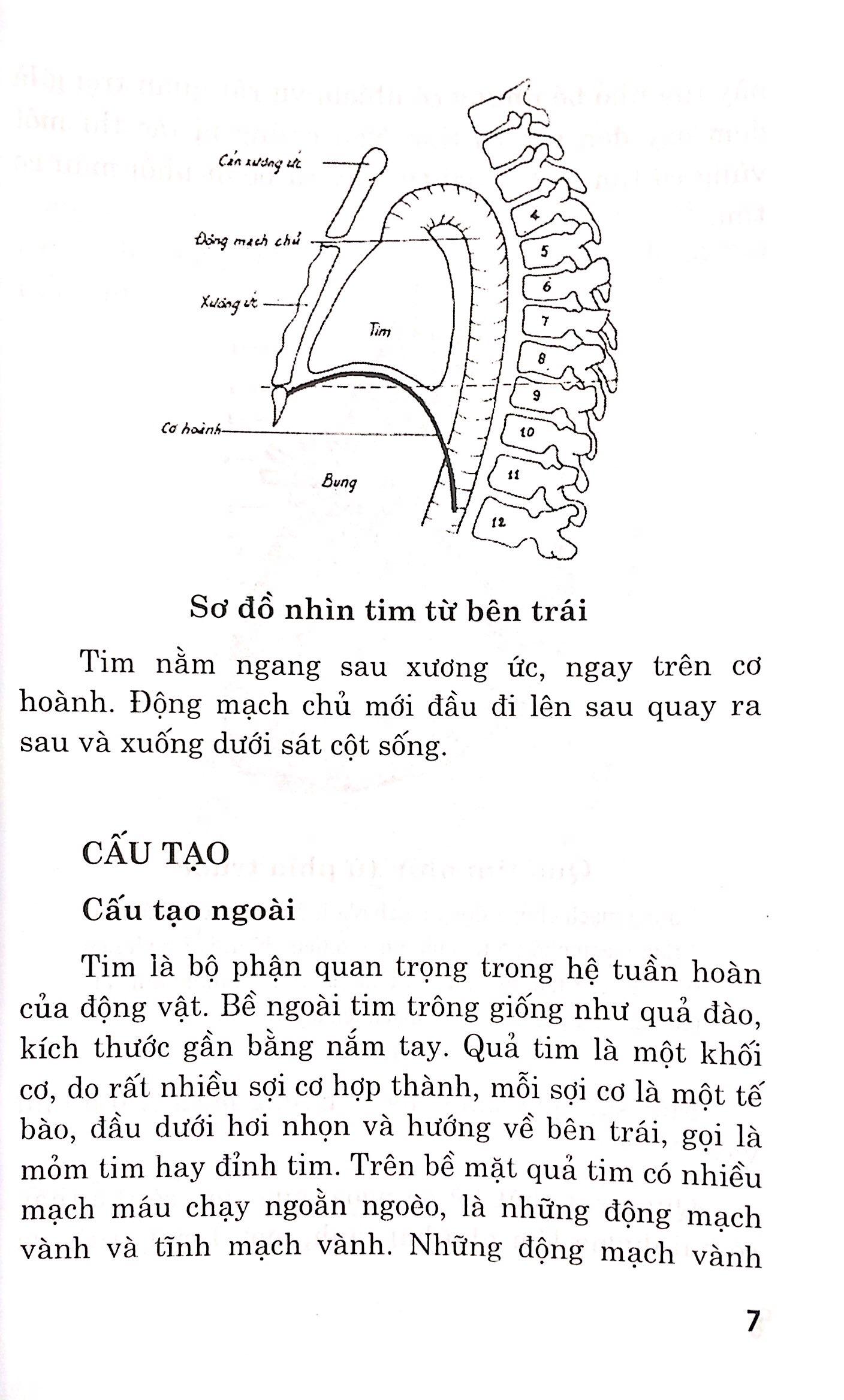 Bệnh Tim - Chế Độ Dinh Dưỡng Và Tập Luyện