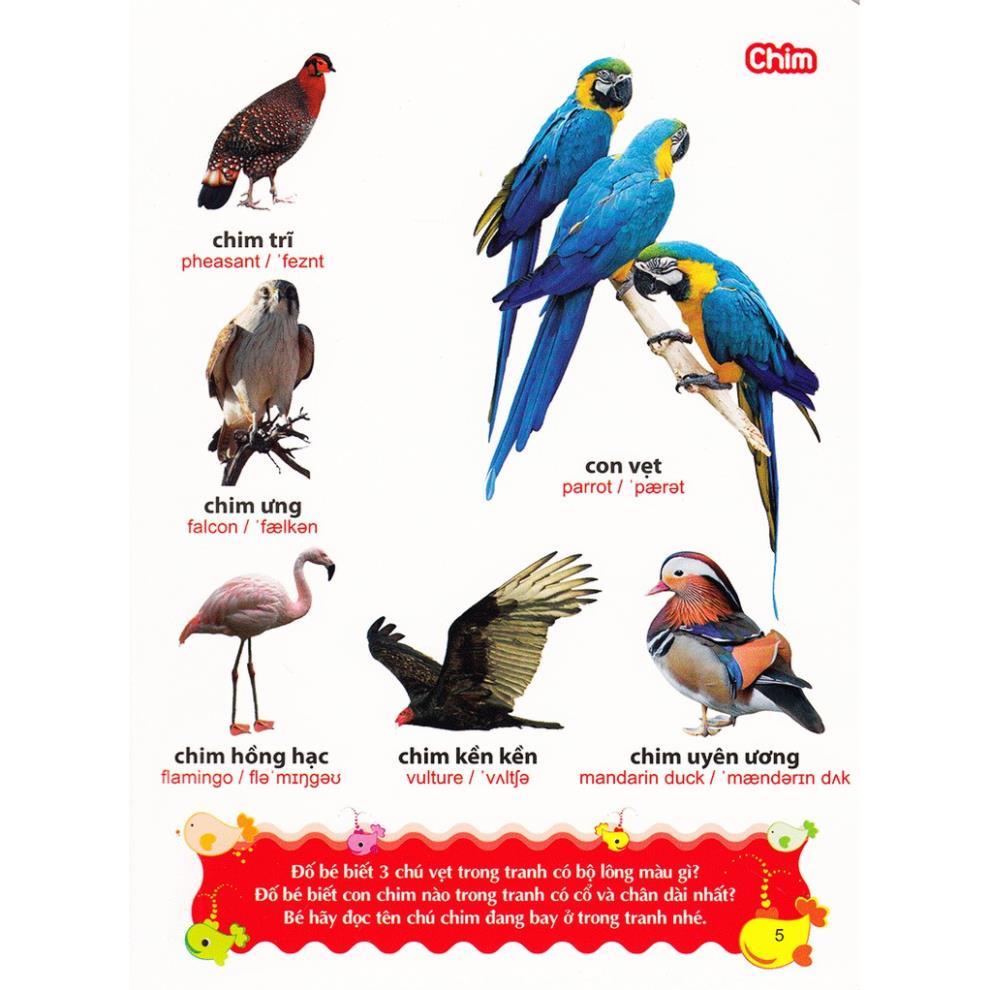 Từ Điển Tranh Về Các Con Vật (Bìa Mềm) - Bản Quyền