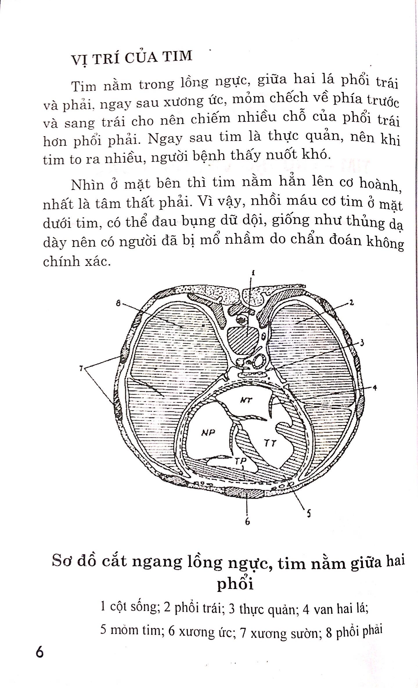 Bệnh Tim - Chế Độ Dinh Dưỡng Và Tập Luyện