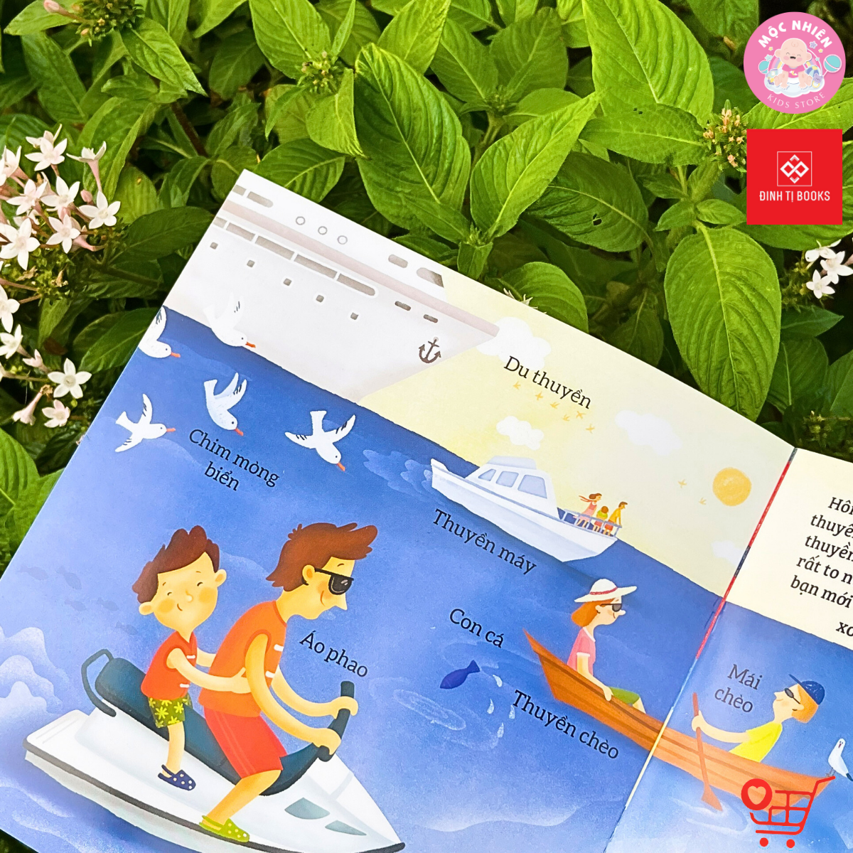 Sách - Bé rèn trí thông minh qua hoạt động quan sát và tìm kiếm - 05 chủ đề dành cho bé 0 - 6 tuổi - Đinh Tị Books
