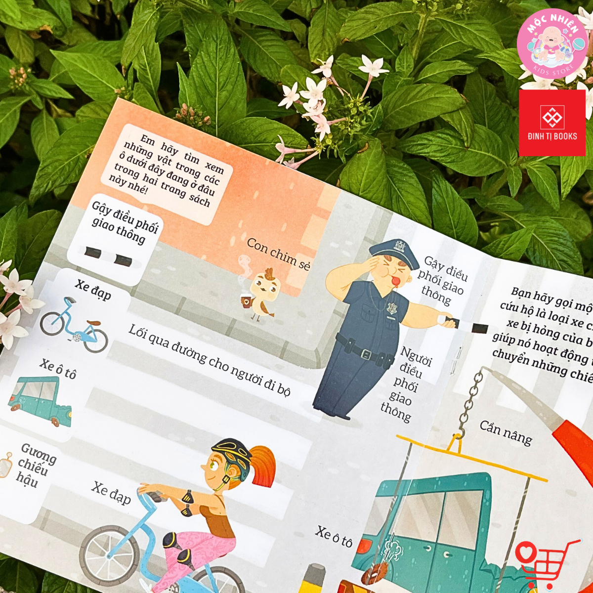 Sách - Bé rèn trí thông minh qua hoạt động quan sát và tìm kiếm - 05 chủ đề dành cho bé 0 - 6 tuổi - Đinh Tị Books
